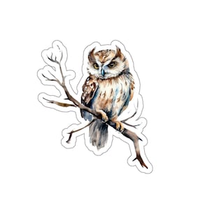 Watercolor Owl Sticker, Woodland Animal Sticker, Cute Owl Vinyl Decal, Waterproof Glossy Sticker, Laptop, Water Bottle