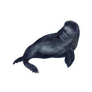 Seal Stickers, Sea Lion Decals, Watercolor Art, Laptop Stickers, Cute Animal Stickers, Gift for Seal Lover