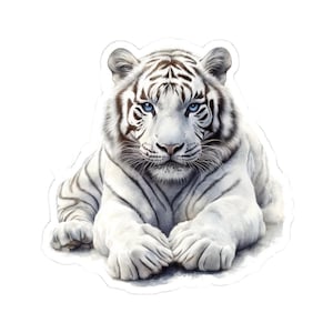 Puede incluir: Un tigre blanco con ojos azules se sienta con las patas cruzadas delante de él. El tigre tiene rayas negras en la cara y el cuerpo.