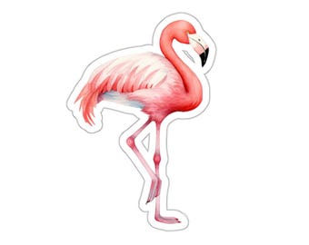 Pode incluir: Um flamingo rosa com pescoço longo e pernas longas em pé em uma única perna. O flamingo está voltado para a direita e tem a cabeça inclinada para baixo.