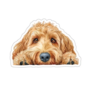 Goldendoodle Sticker, Gluren Hond Waterdicht Vinyl Sticker Voor Laptop Waterfles Telefoon Muur Auto Raamstickers Cadeau