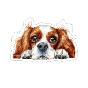 Pegatina de Cavalier King Charles, pegatina de vinilo resistente al agua con perro mirando para ordenador portátil, botella de agua, teléfono, pared, ventana de coche, regalo
