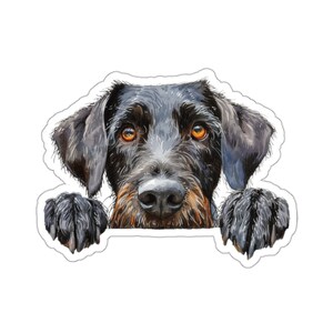 May include: A black and brown dog with a long snout and floppy ears peeks over a white surface. The dog has dark brown eyes and a black nose.
