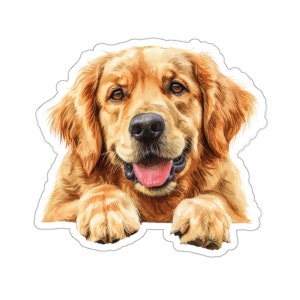 Adesivo Golden Retriever, adesivo in vinile impermeabile con cane che sbircia per laptop, bottiglia d'acqua, telefono, vetrofania per auto, regalo