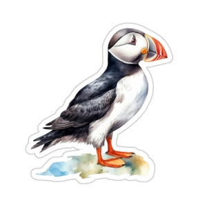 May include: A watercolor painting of a puffin standing on a rock. The puffin has black and white feathers, an orange beak, and orange feet. The background is a light blue watercolor wash.