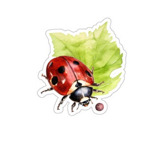 Cute Ladybug Vinyl Sticker, Laptop Sticker, Water Bottle Decal, Ladybug on Leaf, Waterproof, Glossy, Eco Friendly Sticker