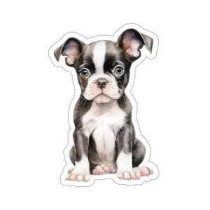 Boston Terrier Welpen Aufkleber, niedlicher Hund wasserdichte Vinyl Aufkleber für Laptop Wasserflasche Telefon Wand Auto Fenster Aufkleber Kawaii Haustier Geschenk