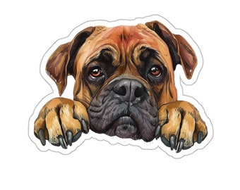 Op de afbeelding: Een bruine en tan Boxer met een droevige uitdrukking kijkt over de rand van een wit oppervlak. De poten van de hond zijn zichtbaar en zijn neus is gerimpeld.