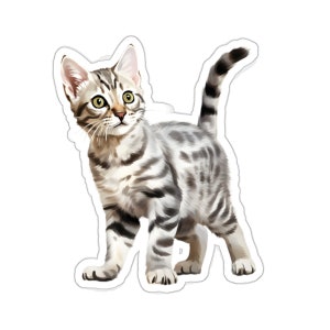 Sticker zilveren tabby kat, sticker schattig kitten – waterdicht vinyl voor laptop bidon telefoonhoesje, kattenliefhebber cadeau, huisdierkunst