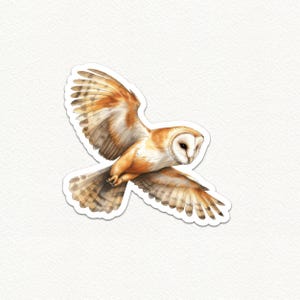 Adesivo in vinile con gufo di palude, decalcomania con uccello volante, adesivo impermeabile per laptop, ecologico, arte della fauna selvatica, adesivo con animale carino per decorare