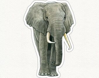 May include: A watercolor illustration of an elephant, facing forward. The elephant is gray with large ears, tusks, and a long trunk. The artwork has a white border, suggesting it's a sticker or print. The elephant's skin is textured, and the details are finely rendered.