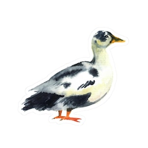 Süßer Enten Vinyl Aufkleber, lustiger Aquarell Tier Aufkleber, Umweltfreundlicher Laptop Aufkleber, wasserfest, weiß oder durchsichtig, Geschenkidee
