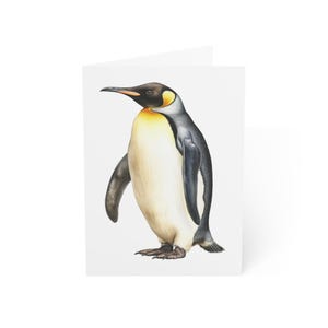 Cartões de felicitações de pinguins aquarela realistas, pacote com 10 ou cartão dobrado individualmente com envelope, em branco por dentro, conjunto de papelaria para presente de cartão postal de animais