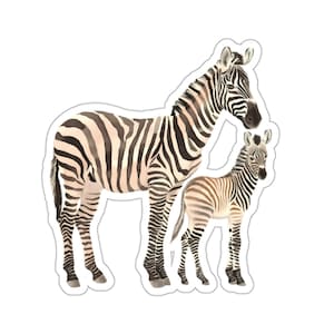 Cute Zebras Vinyl Sticker, Waterproof Animal Sticker for Laptop Water Bottle Car Phone Hydro Flask, Safari Zebra Wall Decal Transparent