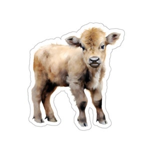 Cute Baby Highland Cow Sticker, Watercolor Vinyl Decal for Laptop, Water Bottle, Best Friend Gifts, Animal Art, Rustic Farm Decor