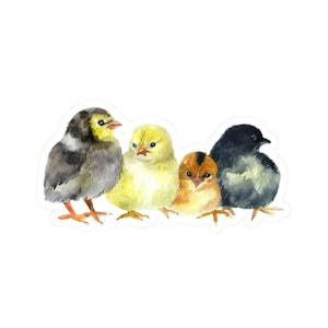 Cute Chicks Vinyl Sticker, Watercolor Baby Chickens Decal, Fun Animal Sticker for Laptops, Water Bottles, and Journals