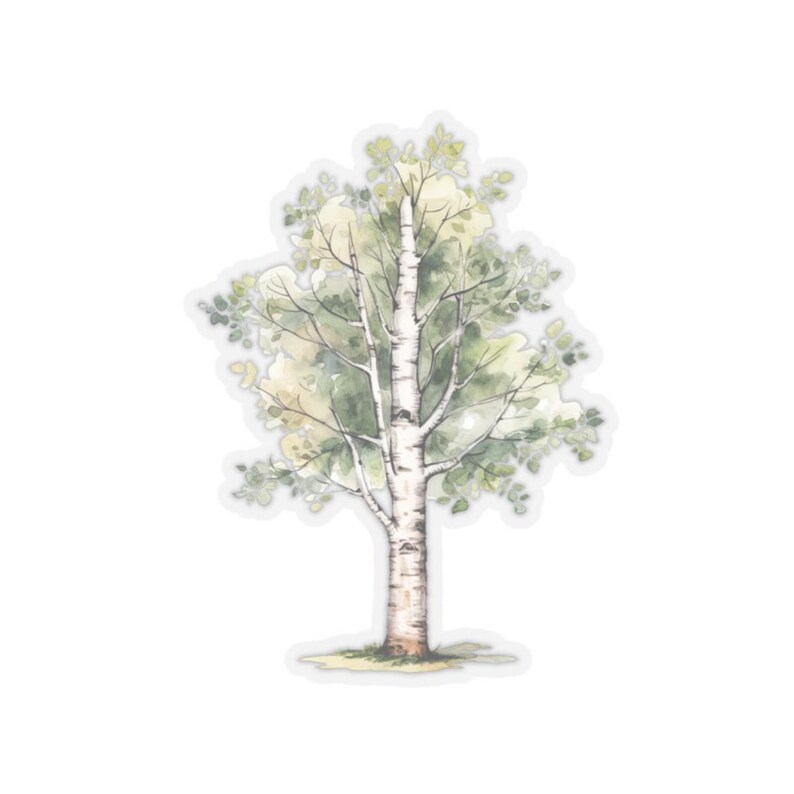 Birch Tree Sticker, Watercolor Tree Decal, Nature Inspired Vinyl, Eco ...
