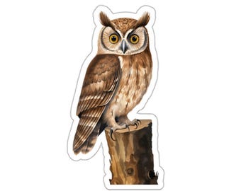 アメリカワシミミズクのステッカー、フクロウのデカール、茶色の嵐のような目、水彩フクロウのギフト、ノートパソコンのジャーナル用のかわいい野生動物の装飾