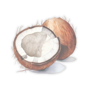 May include: Watercolor illustration of two coconuts, one halved to reveal the white flesh. The coconuts are brown and textured, with a soft, artistic style. The image is set against a white background, highlighting the tropical fruit.