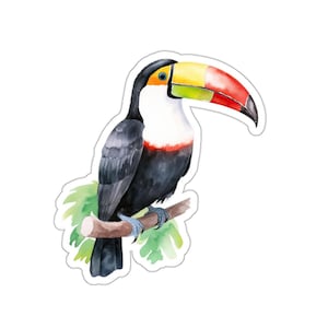 Toucan Bird Sticker, Vinyl Waterproof Sticker, Tropical Bird Decor, Laptop Water Bottle Decal, Gift for Bird Lovers, Eco Friendly