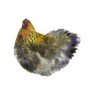 Cute Chicken Sticker, Watercolor Chicken Decal, Funny Farm Animal Sticker, Vinyl Chicken Sticker for Laptop, Hydroflask, Journal