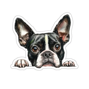 Sticker Boston Terrier, chien furtivement autocollant vinyle imperméable pour ordinateur portable bouteille d'eau téléphone mur voiture fenêtre sticker cadeau