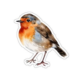 Watercolor Robin Bird Vinyl Sticker, Cute Animal Decal, Eco Friendly Waterproof Laptop Sticker, Perfect Gift Idea