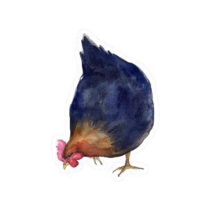 Chicken vinyl sticker, farm animal decal, cute hen sticker for water bottle, funny chicken laptop sticker, rooster window decal