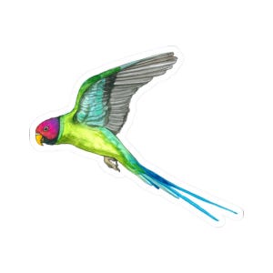 Parrot Sticker, Colorful Bird Decal, Watercolor Style, Glossy Vinyl, Eco Friendly, Laptop Sticker, Waterproof, 2 to 6 Inches