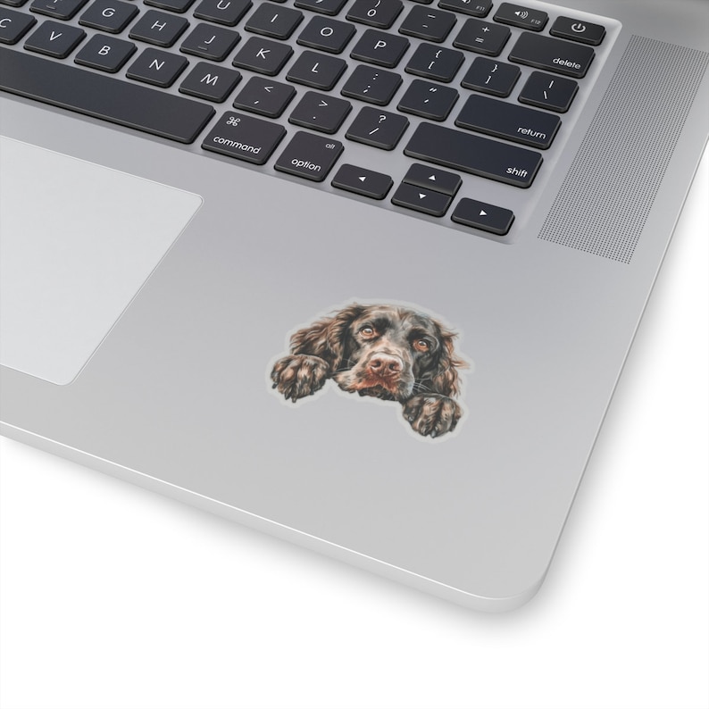 Boykin Spaniel Sticker, Peeking Dog Waterproof Vinyl Sticker For Laptop Water Bottle Phone Wall Car Window Decal Gift image 10