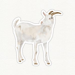 Cute Goat Sticker, White Goat Decal, Farm Animal Laptop Sticker, Water Bottle Decor, Funny Goat Vinyl, Glossy Waterproof Sticker
