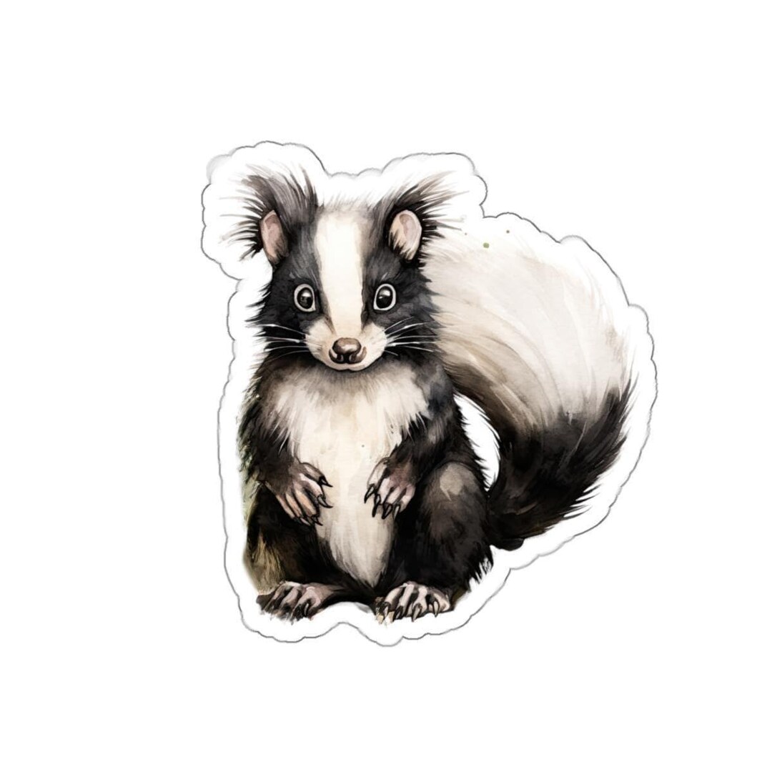 Skunk Sticker Cute Skunk Vinyl Sticker, Adorable Animal Decal, Funny Watercolor ...