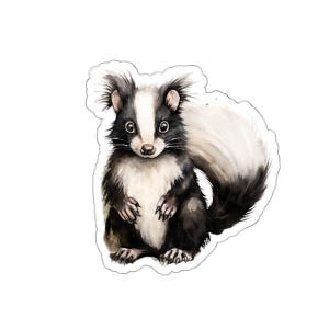 Adesivo in vinile con puzzola carina, adesivo con animale adorabile, adesivo con mammifero acquerello divertente, laptop e bottiglia d&#39;acqua, planner e diario, regalo unico