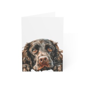 Cartões de felicitações Boykin Spaniel Dog, pacote com 10 ou cartão dobrado individualmente com envelope, conjunto de papelaria para presente com cartão postal de cachorro espiando em aquarela