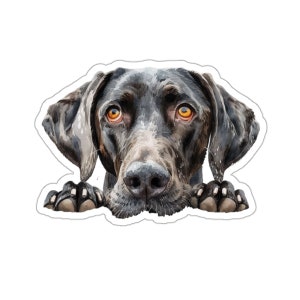 May include: A sticker with a watercolour illustration of a dog. The dog has dark fur, floppy ears, and amber eyes. Its paws are visible at the bottom, giving the impression it's peering over an edge. The sticker has a white border.