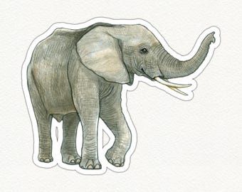 Elephant Sticker, Watercolor Elephant Decal, Vinyl Elephant Sticker, Waterproof Elephant Sticker, Eco Friendly Sticker