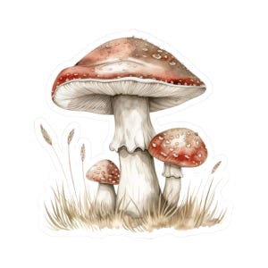 Mushroom sticker, watercolor art sticker, forest fungi decal, laptop sticker, water bottle sticker, autumn nature sticker