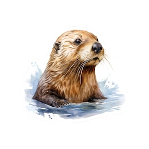 Cute Sea Otter Sticker, Waterproof Vinyl Decal, Otter in Water Art, Fun Laptop Sticker, Ideal Gift for Friends, Family, Teens
