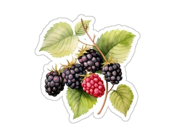 Blackberry Fruit Sticker, Botanical Watercolor Art, Nature Laptop Decal, Waterproof Vinyl Sticker, Journal Decoration