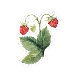 Watercolor Strawberry Sticker, Cute Berry Decal, Fruit Stickers, Laptop Sticker, Gift for Her, Garden Lover, Waterproof Sticker
