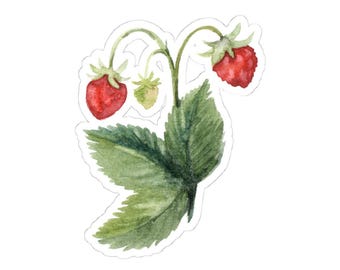 Watercolor Strawberry Sticker, Cute Berry Decal, Fruit Stickers, Laptop Sticker, Gift for Her, Garden Lover, Waterproof Sticker