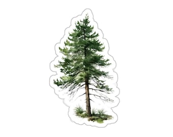 Beautiful Pine Tree Stickers, Cute Evergreen Decal, Nature Scene Sticker, Watercolor Tree Sticker, Outdoor Lover Gift, Eco Friendly