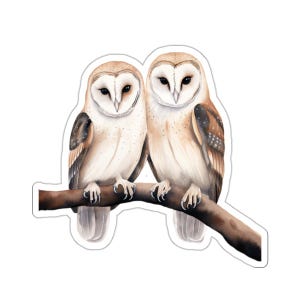 Sticker couple chouette, chouette effraie des cloches en vinyle, sticker animal aquarelle pour ordinateur portable, bouteille d&#39;eau, journal intime, cadeau meilleur ami