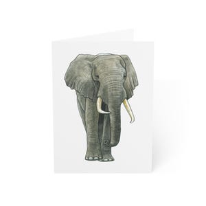 Tarjetas de felicitación de elefante en acuarela, paquete de 10 o una tarjeta plegada con sobre, set de regalo de papelería con postales minimalistas en acuarela