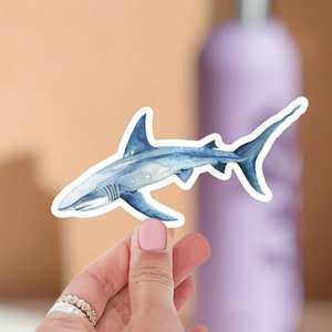 Reef Shark Vinyl Sticker - Waterproof Laptop Phone Car Bumper Wall Decal - Clear Transparent - Shark Lover Gift
