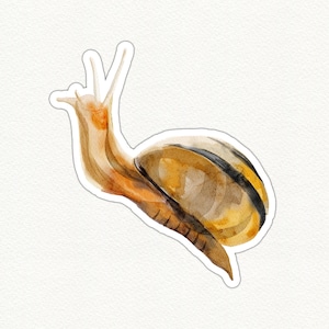 Cute Snail Sticker, Watercolor Snail Decal, Fun Laptop Sticker, Waterproof Decal, Snail Art Sticker, Eco Friendly, Glossy Snail Sticker