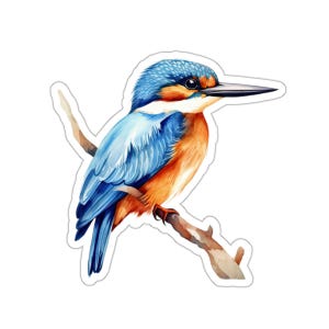 Kingfisher Bird Sticker, Vinyl Decal for Water Bottles, Laptop Stickers, Waterproof and Glossy, Eco Friendly Inks, Bird Lover Gift