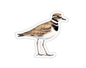 Killdeer Bird Vinyl Sticker, Watercolor Decal, Eco Friendly