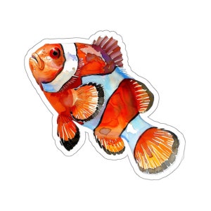 Adesivo de peixe palhaço, adesivo de vinil à prova d'água nemo peixe para laptop, garrafa de água, telefone, para-choque de carro, decalque de janela de parede transparente, pequeno presente