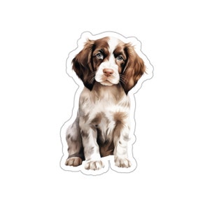 Pegatina de cachorro Springer Spaniel inglés, pegatina de vinilo impermeable para perro lindo para portátil, botella de agua, teléfono, pared, ventana de coche, regalo